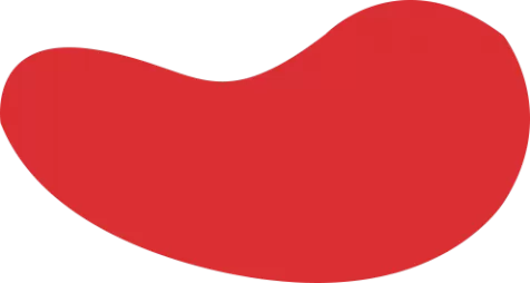 PA真人·PLAYACE官网