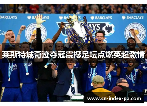 莱斯特城奇迹夺冠震撼足坛点燃英超激情