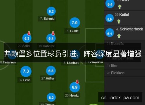 弗赖堡多位置球员引进,阵容深度显著增强 弗赖堡多位置球员引进,阵容深度显著增强