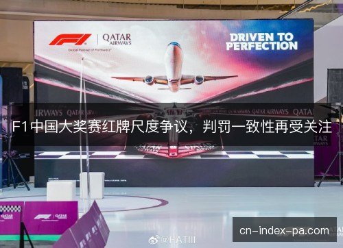 F1中国大奖赛红牌尺度争议，判罚一致性再受关注